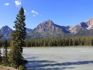 river with mountains and trees