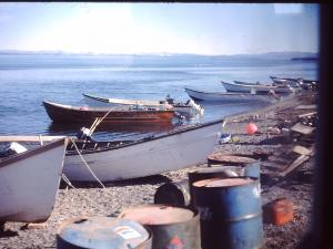 boats on a shore