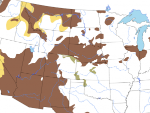 irregular color blocks on map of contiguous United States