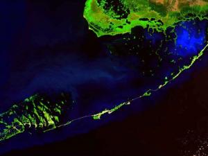 satellite image of the Florida Keys