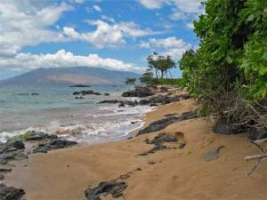 beach with island in background