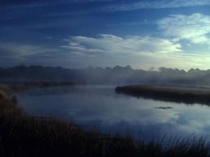 misty estuary