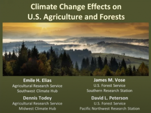 slide with the title of the talk