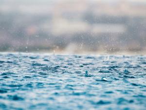 closeup-photography-of-water-drops-on-body-of-water