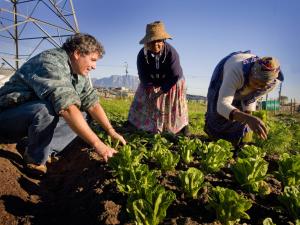 people crouched by garden