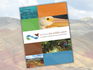 USFWS National Fish, Wildlife, and Plants Climate Adaptation Strategy