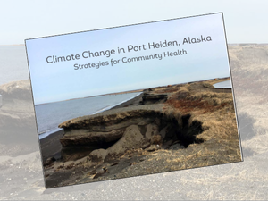 port heiden plan cover