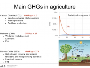 Slide explaining the main greenhouse gases in agriculture