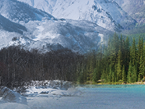 Snow capped mountain
