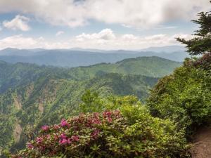 green mountain scenery