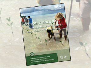 AR5 Climate Change Impacts Adaptation and Vulnerability cover