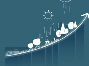 A Guideline for Project Developers report cover