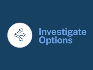 nvestigate-Options text and icon