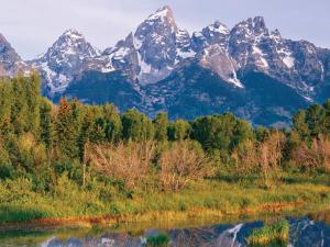 Screen capture from the Climate-Smart Conservation guide