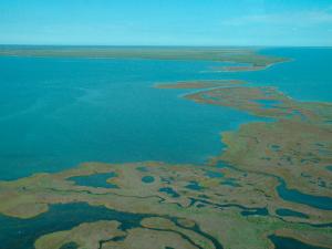 Promo image for the course Nature-Based Solutions for Coastal Hazards