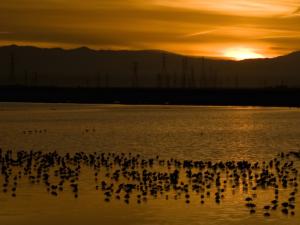 Photo of sunrise over San Francisco Bay