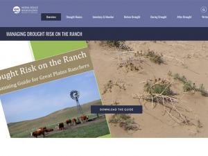 Screen capture of the tool website