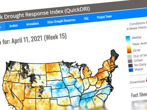 Screen capture from the QuickDRI tool