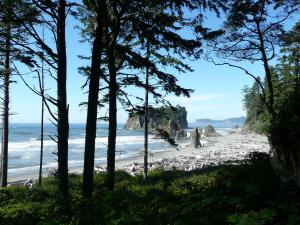View of the Ruby Beach with large trees slightly obstructing the view. There are people exploring the beach which is filled with large rocks.