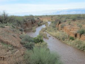 The Santa Cruz River just north of Sahuarita, Arizona, along Pima Mine Road, looking downstream (north) towards Tucson.