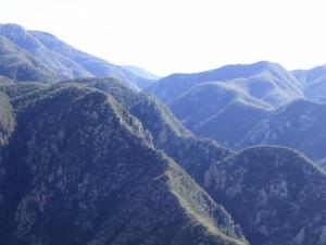 Pine-covered mountain peaks