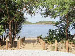 A new boardwalk provides access to Tamarindo Beach. Wooden boardwalk leading to a beach with trees on either side and mountains in the distance.