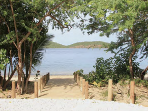 Wooden boardwalk leading to a beach with trees on either side and mountains in the distance.