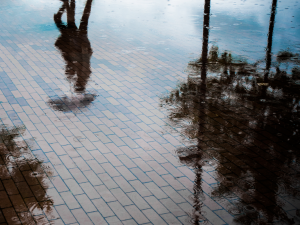 The shadow of a person walking with an umbrella can be seen in on a flooded brick walkway. 