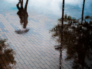 Green Infrastructure The shadow of a person walking with an umbrella can be seen in on a flooded brick walkway.