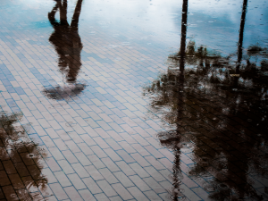 The shadow of a person walking with an umbrella can be seen in on a flooded brick walkway. 