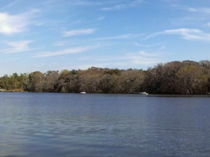 Panoramic view of a calm river with bridges in the background under a partly cloudy sky.