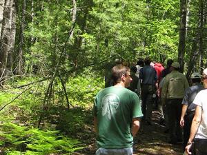 Screen capture from the Tree Species Risks web page