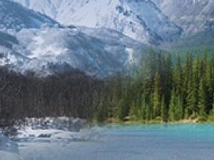 mountainous landscape merges vertically in the center of the image with a deep evergreen forest. 