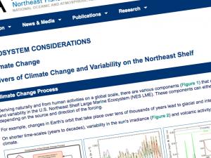 Screen capture from the website