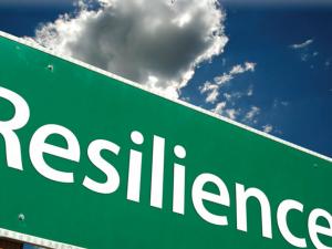 Screen capture from the Coastal Resilience Index tool