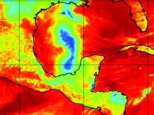 Screen capture from Coral Reef Watch