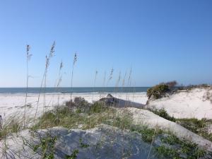 Sand dunes with a clear blue sky in the background