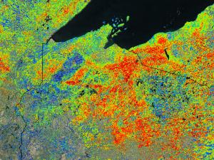 Screen capture from the ForWarn Forest Change Assessment Viewer