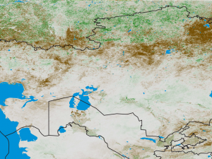 Screen capture from the Famine Early Warning System Network (FEWS NET)