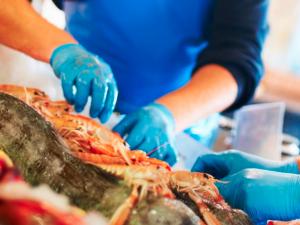 Screen capture from Fisheries Resilience Index