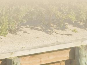 Cover of the Rolling Easements Primer