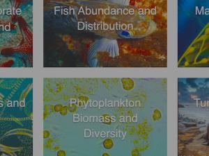 Screen capture from SCCOOS