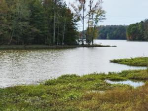 A wetland area surrounding a lake