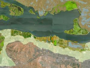 Screen capture from the Future San Francisco Bay Tidal Marshes tool