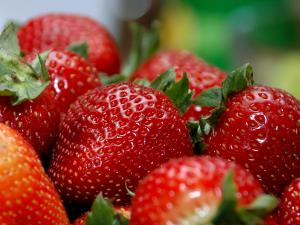 Strawberries Strawberries