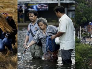 Screen capture from the TEX website