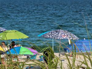 A view from the sand dunes of a group of people sitting at the beach. The bright colorful umbrellas stand out in contrast to the deep blue ocean that takes over the top half of the photo. Two lifeguards sit on a tall lifeguard chair. 