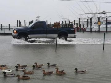 Flooded Roadway at the Wachapreauge, Va. Marina