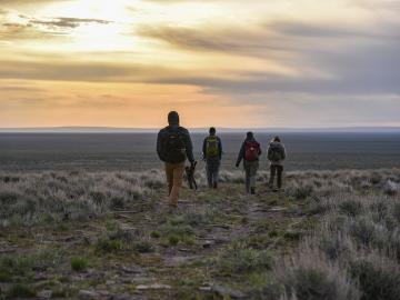 Greater sage-grouse surveys in southwestern Idaho