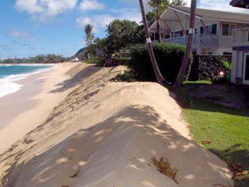Beach dune 